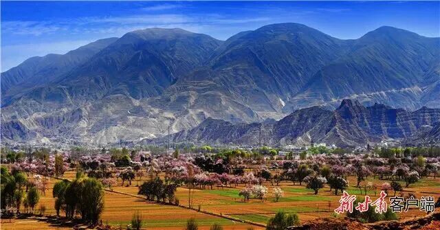 图源：新甘肃客户端（资料图）
