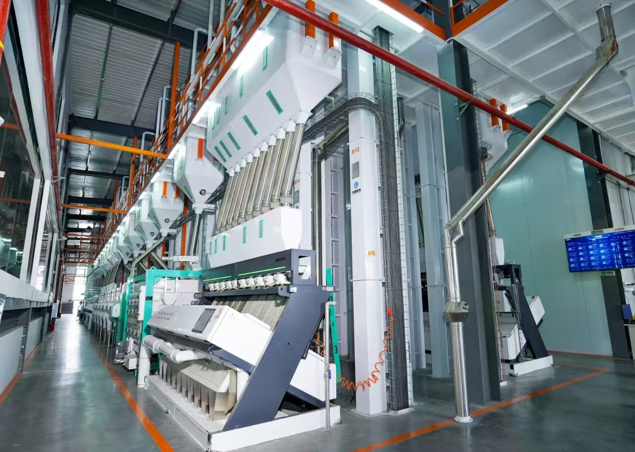 巨金米业生产线