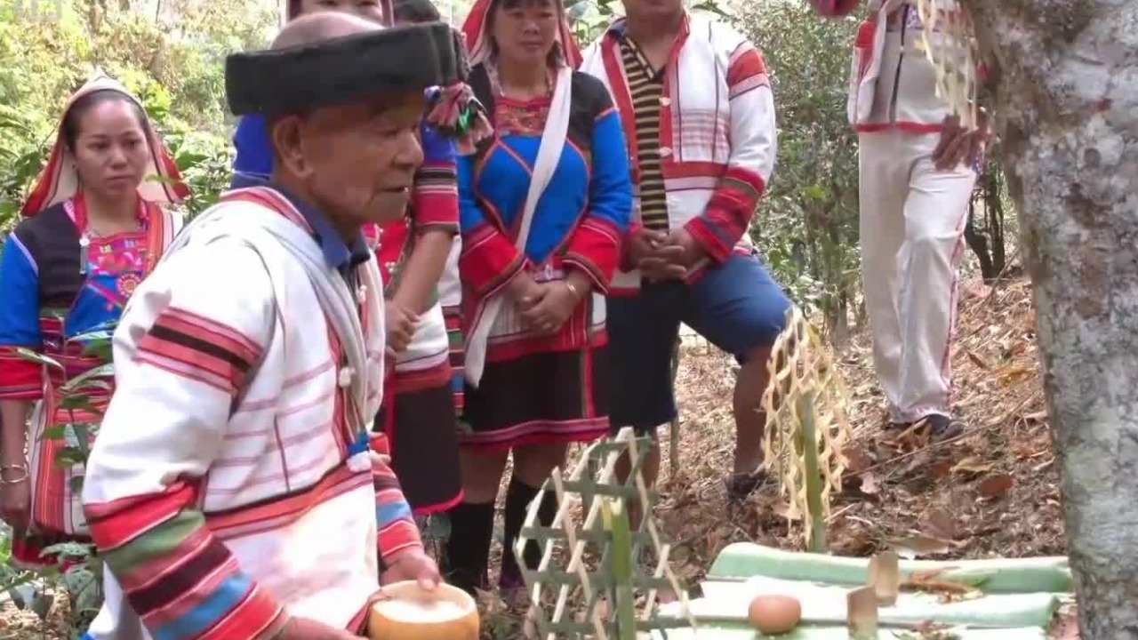 基诺族崇尚万物有灵，按照传统习俗祭祀茶神