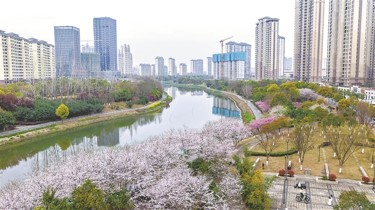 瑞昌市：水清岸绿 繁花似锦（图）