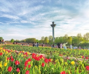 “如何将“蓝色资源”转化为“发展优势””/"