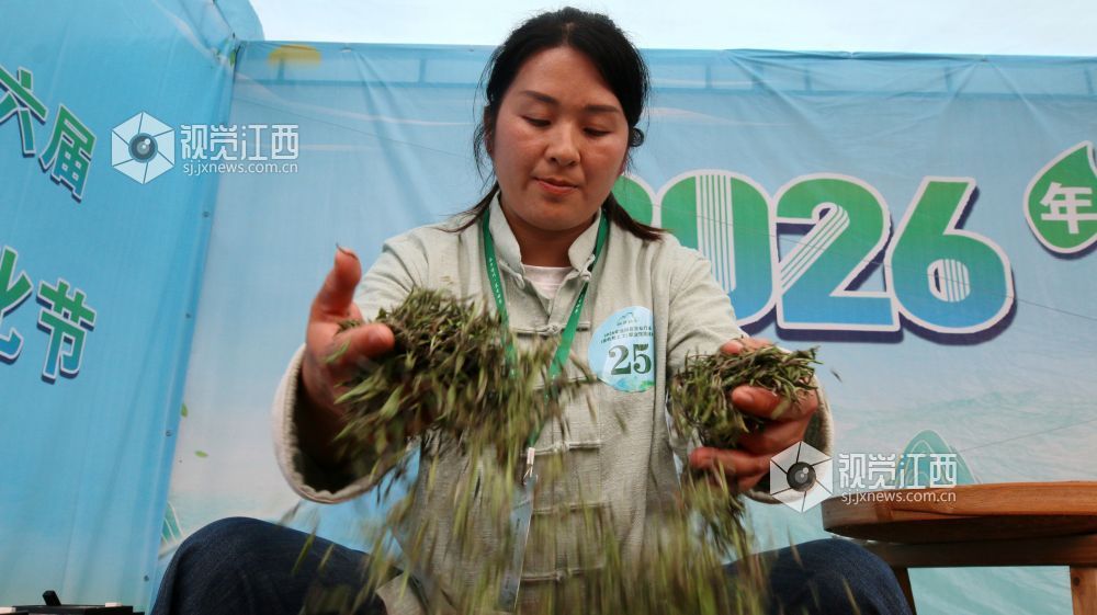2026年4月12日，江西省遂川县第六届狗牯脑茶文化节茶叶行业职业技能活动正式开赛。三十余名制茶高手齐聚赛场，在炒青锅前各展绝活，从杀青、揉捻到提毫，精准把控火候与力道，指尖翻飞间，尽显狗牯脑茶 “二次杀青、二次揉捻” 的非遗技艺精髓。