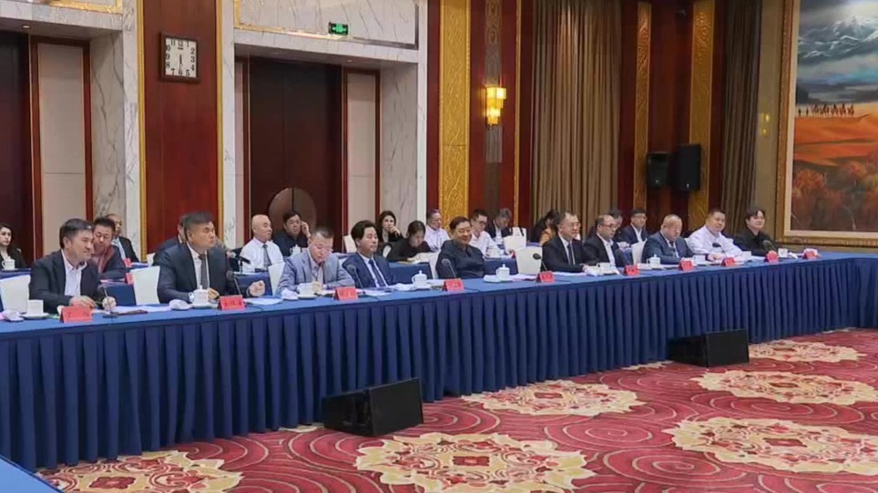 胡昌升与中国五百强产业联盟考察团座谈