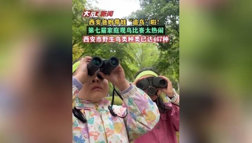 西安爸妈带娃“追鸟”啦！第七届家庭观鸟比赛太热闹 西安市野生鸟类种类已达467种