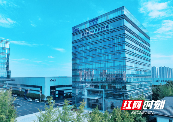 服务赋能 “宁”心助企丨23年，企业长大，服务也跟着“长大”