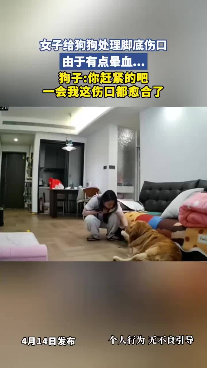 女子帮狗子处理伤口晕血倒地多次