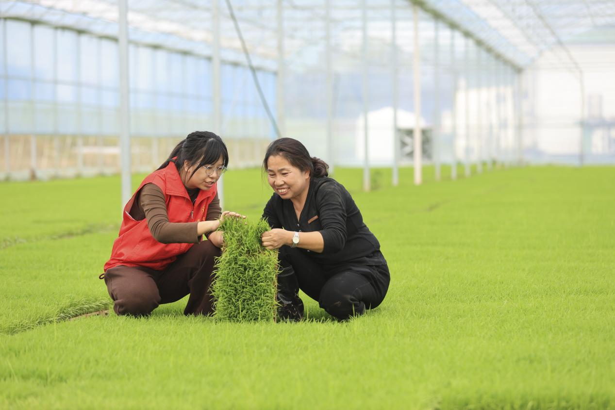农技人员现场指导农户育秧（魏东升/摄）