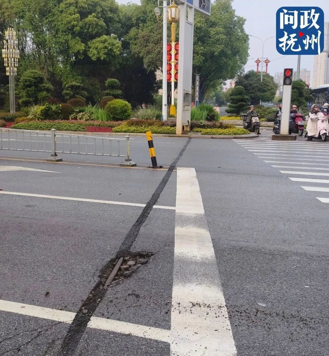 ▲图片由网友提供