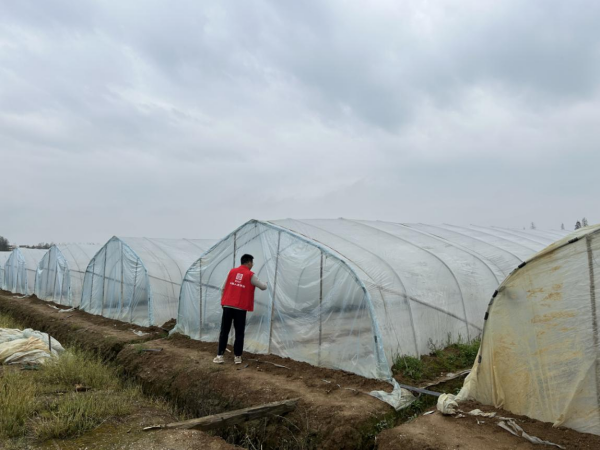 人保财险江西分公司多维绘好乡村振兴“春耕图”