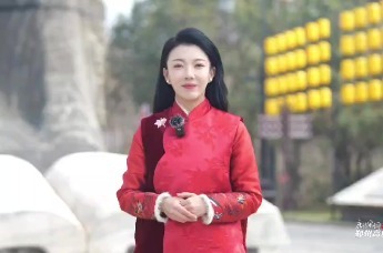 唐诗宋词里的郑州高度|杜甫：故园明月夜 诗念手足情