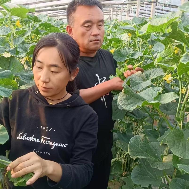 PG电子平台：在路上：泥土地里绽芳华残翼逐梦写担当——80后残疾夫妻深耕乡土的新农人创业路(图1)