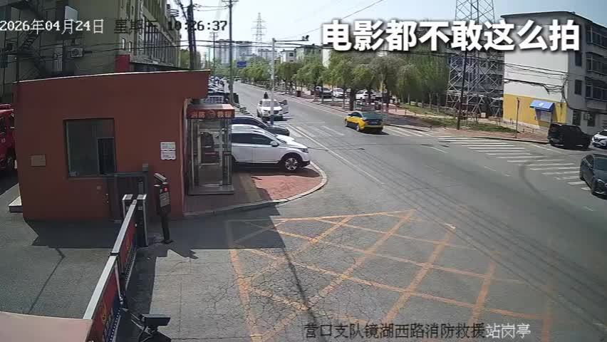 8只小羊齐刷刷跑消防站，小羊迷路跑进消防站消防员帮忙回家