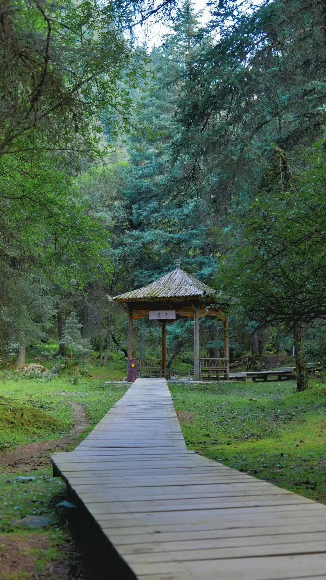 摄影：张兵