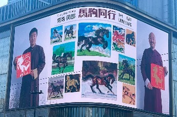 2026“马驹同行” 常青·阿郎1+1马年迎新生肖展回顾专题