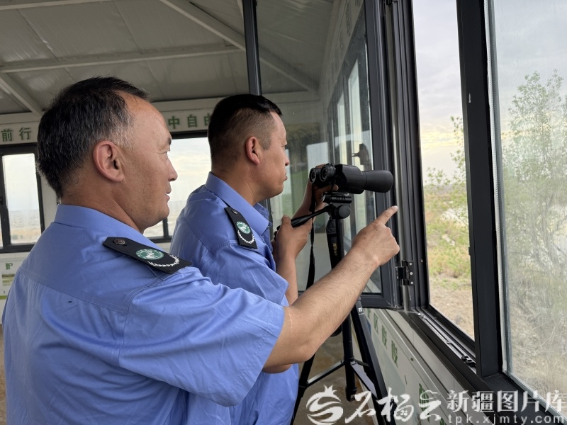 4月23日，拜铁木尔&middot;吾木汗（左）和同事在鸟类监测台监测鸟类活动情况。黑扎提&middot;吐尔逊 摄