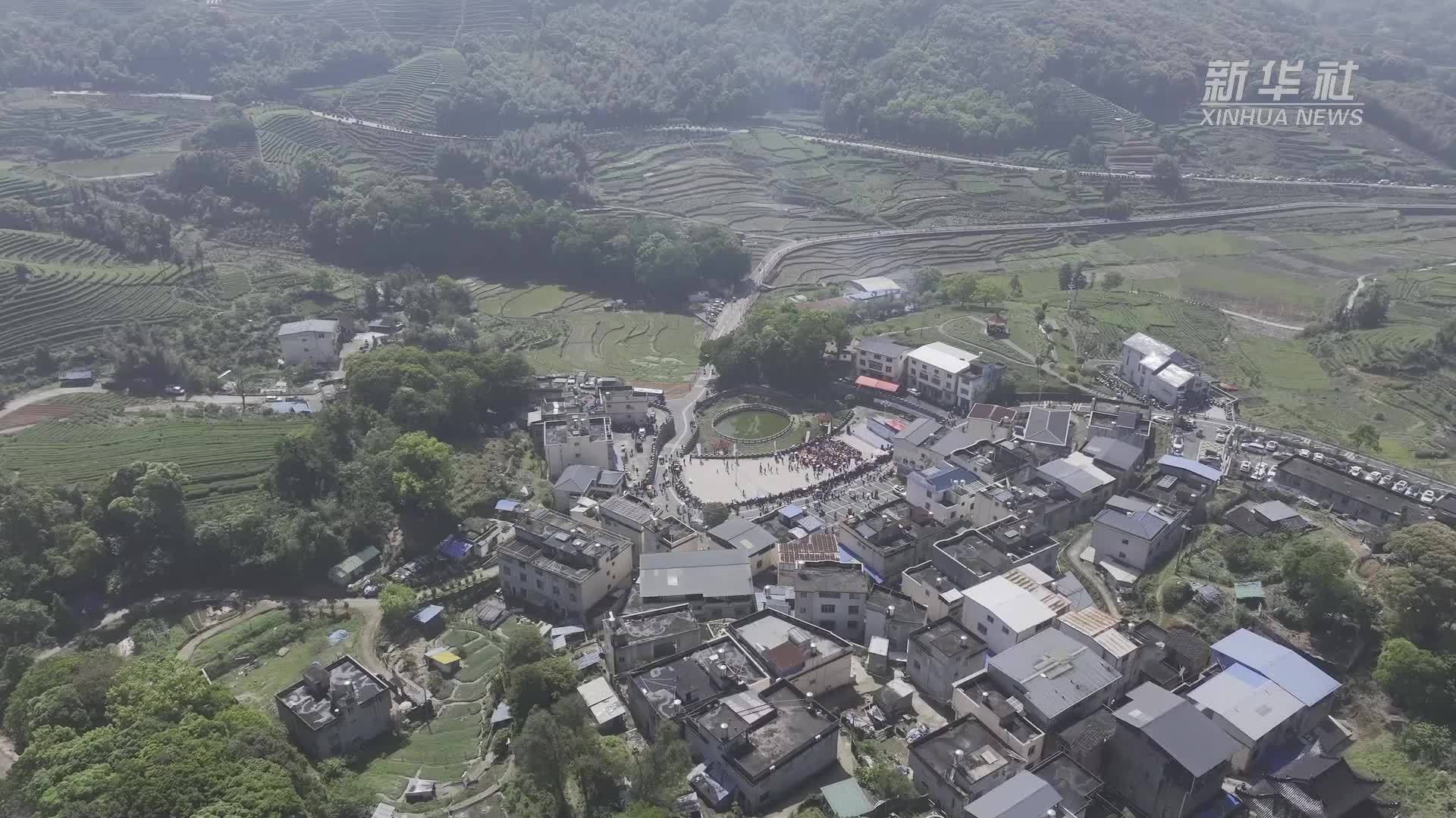 福建：畲乡飘茶香 共庆“三月三”