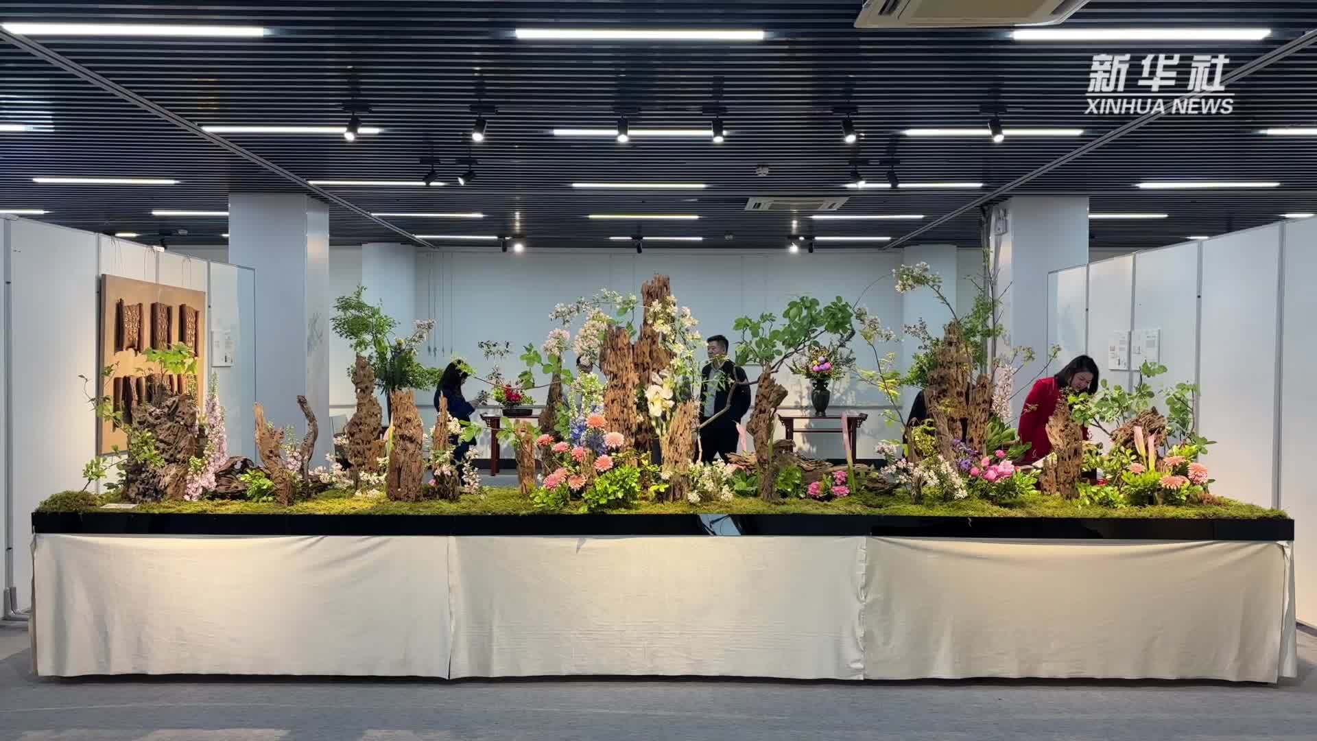 山东：当本草遇见花艺 解锁中医药文化新表达