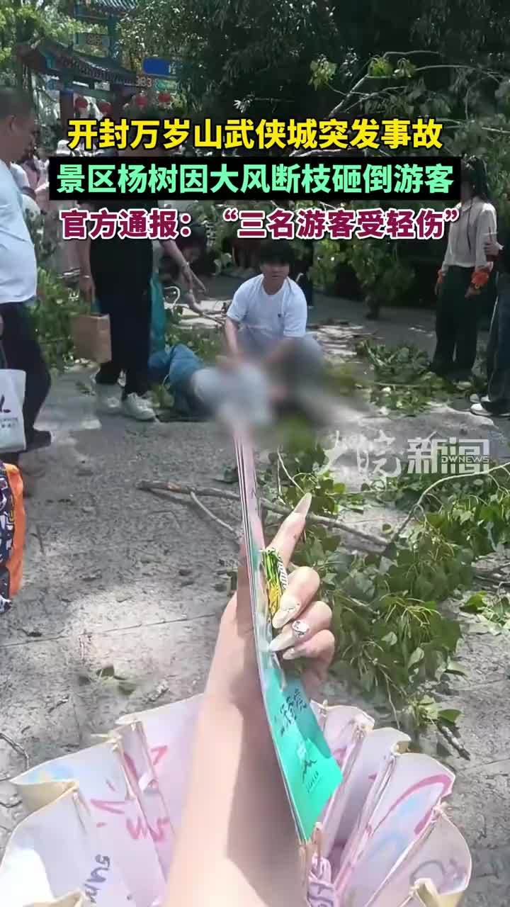 开封万岁山武侠城突发事故 景区杨树因大风断枝砸倒游客 官方通报：“三名游客受轻伤”