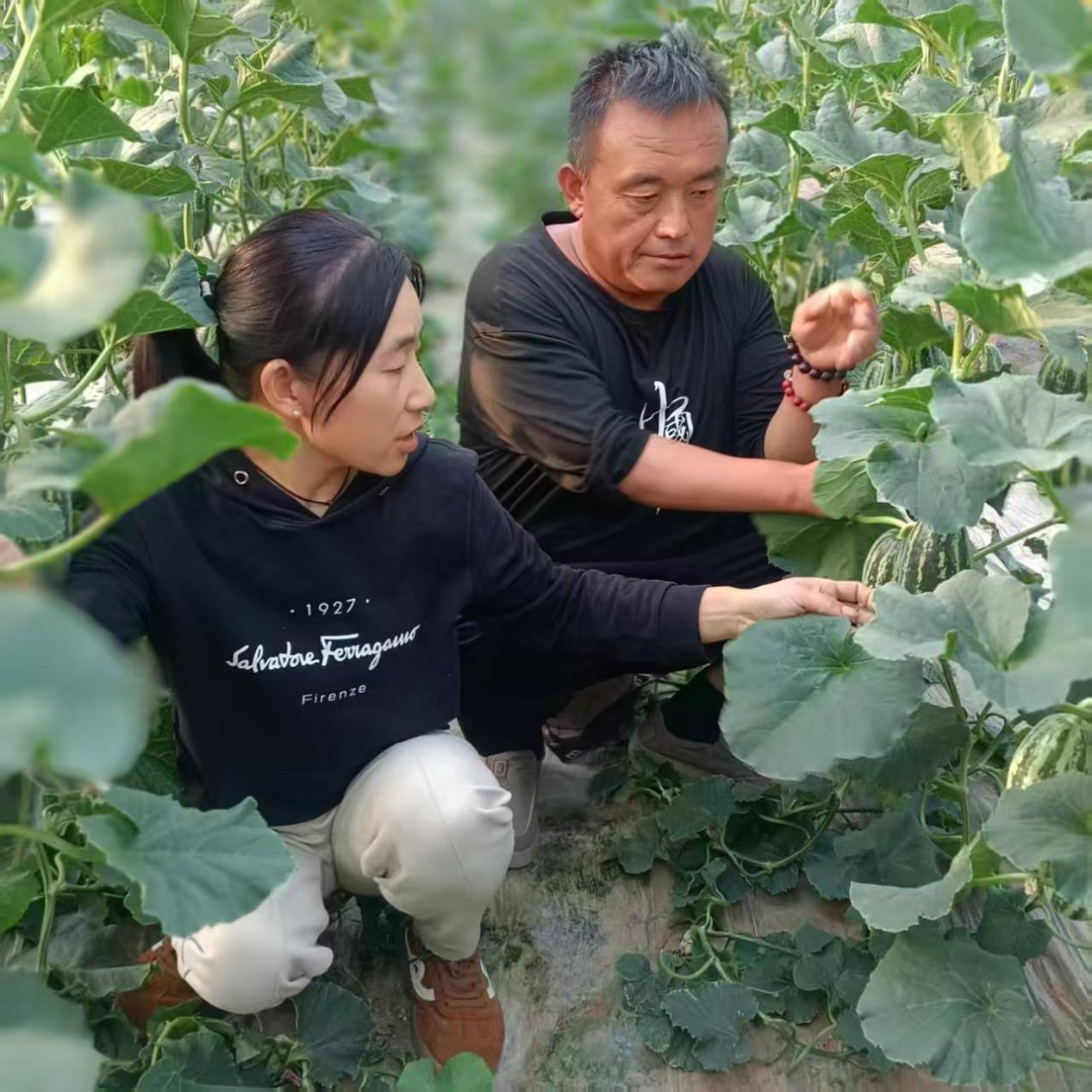 PG电子平台：在路上：泥土地里绽芳华残翼逐梦写担当——80后残疾夫妻深耕乡土的新农人创业路(图3)