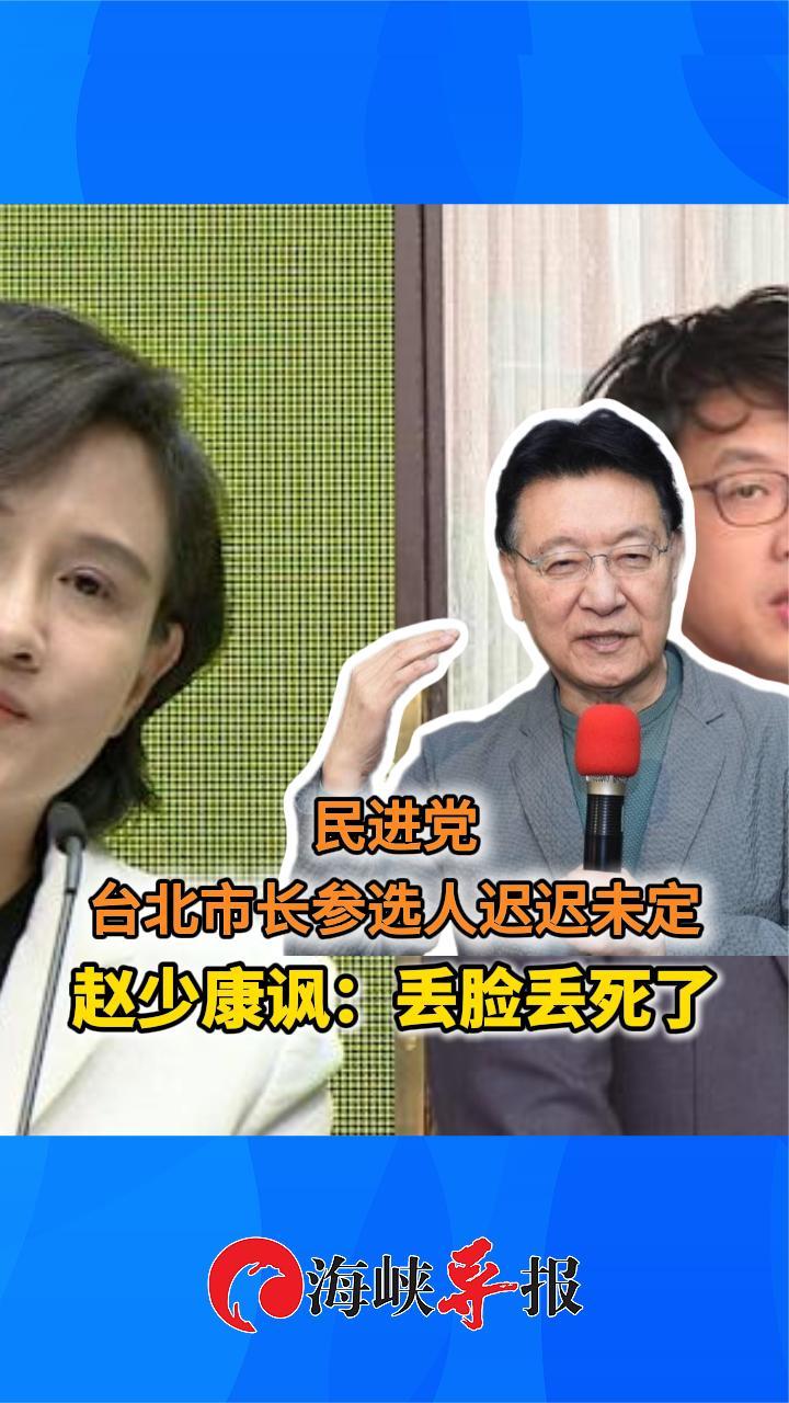 民进党台北市长参选人迟迟未定 赵少康讽：丢脸丢死了