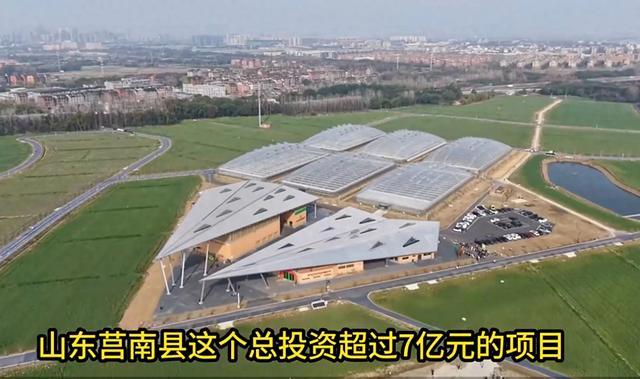 王海娟：调查9省42村，没发现一个农业项目在搞农业！怎么回事？