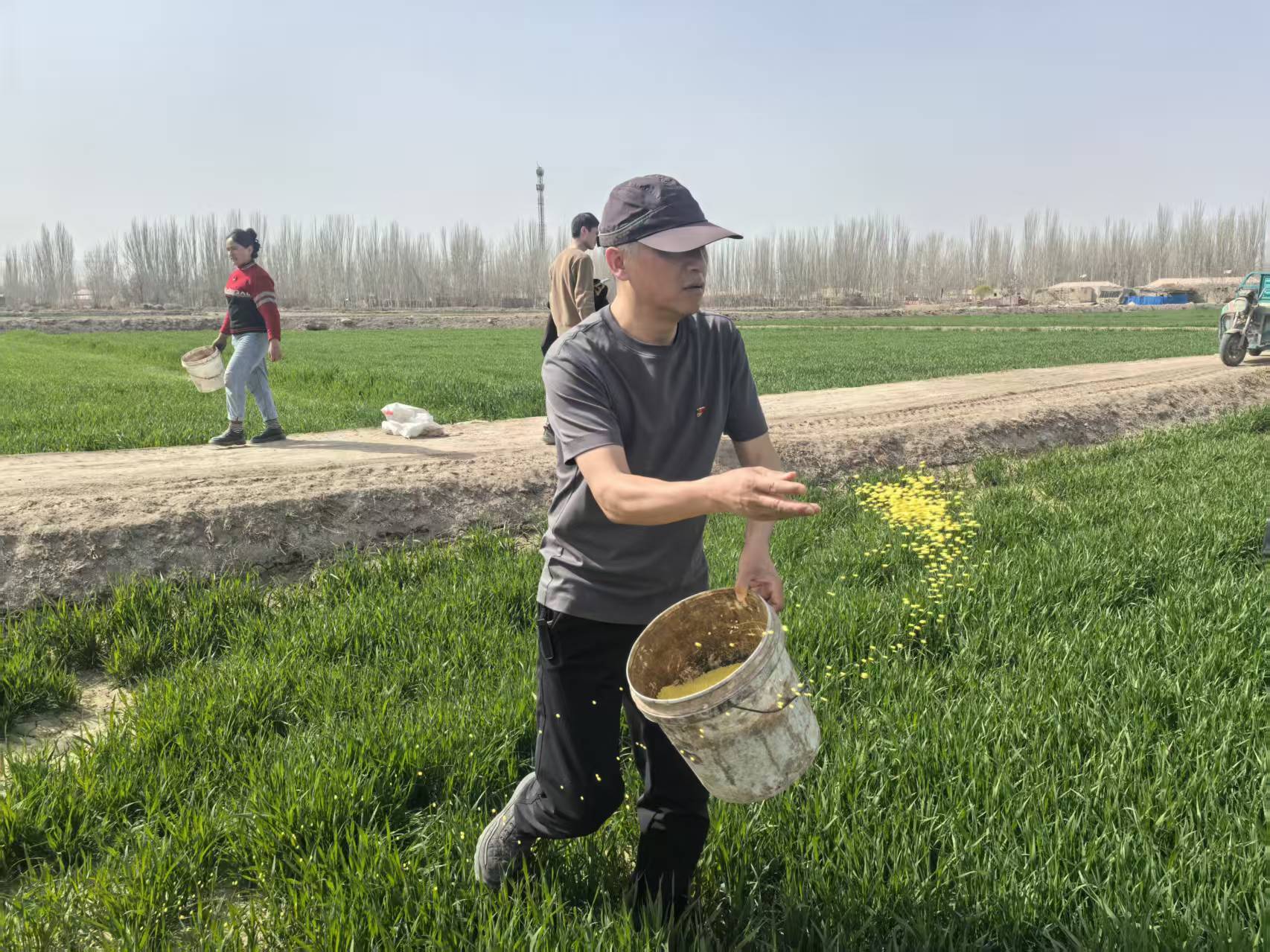 方言反诈进农田！中国人寿为春耕农户织密“金融防护网”