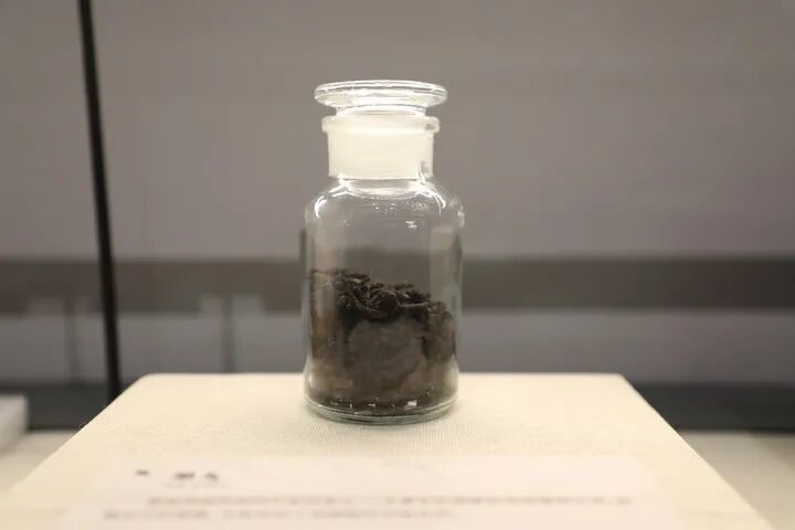 展厅中的墨丸，是海昏侯墓出土的松烟墨。南昌汉代海昏侯国遗址博物馆供图