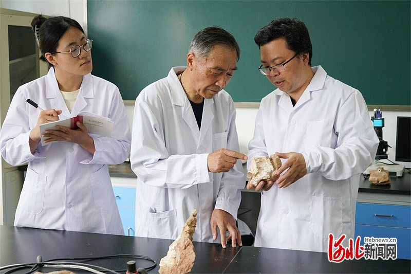 近日，季强（中）和团队成员在实验室进行生物化石的相关研究。 河北地质大学供图