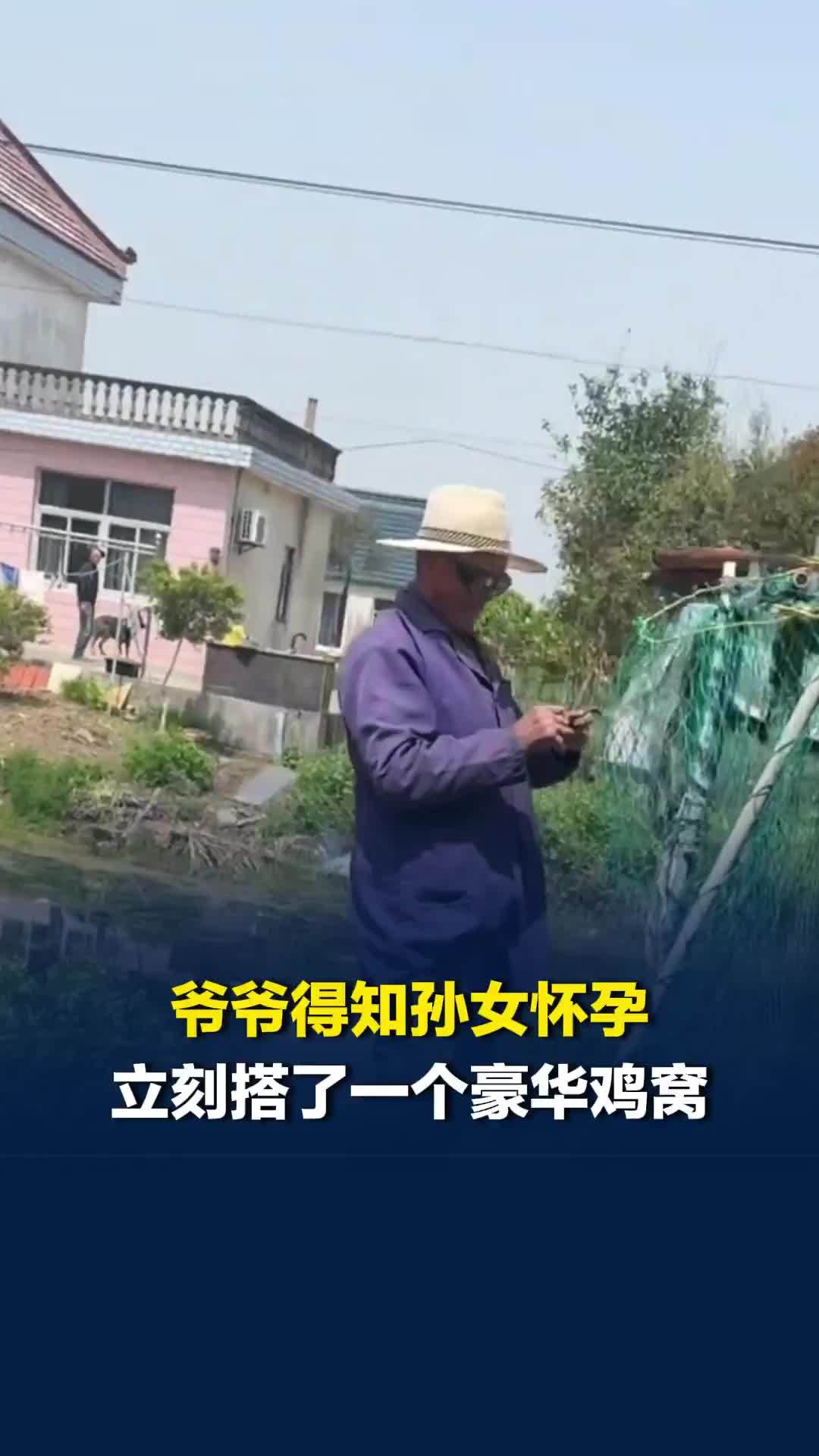 爷爷得知孙女怀孕，立刻搭了一个豪华鸡窝，孙女：长辈给我的爱就是最珍贵的财富