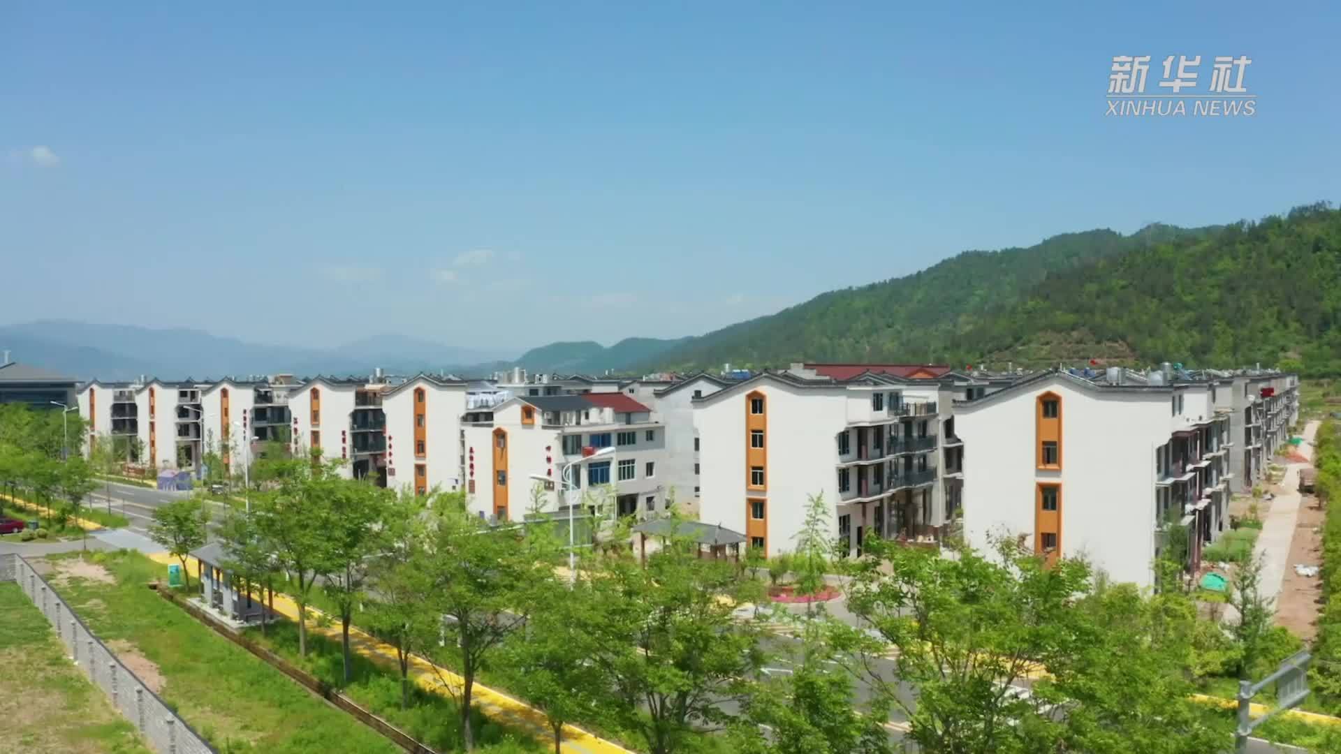 浙江台州｜电力赋能乡村振兴 助力共同富裕示范区建设