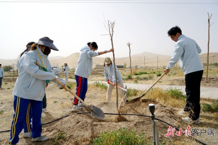 澳门青少年在敦煌植树　新甘肃&middot;甘肃日报记者　董文龙　摄