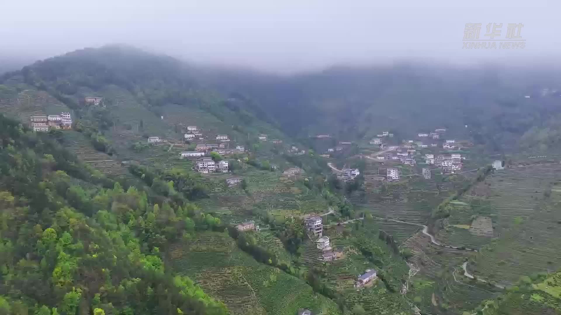 安徽黄山：“和美乡村直播间”点亮民生获得感