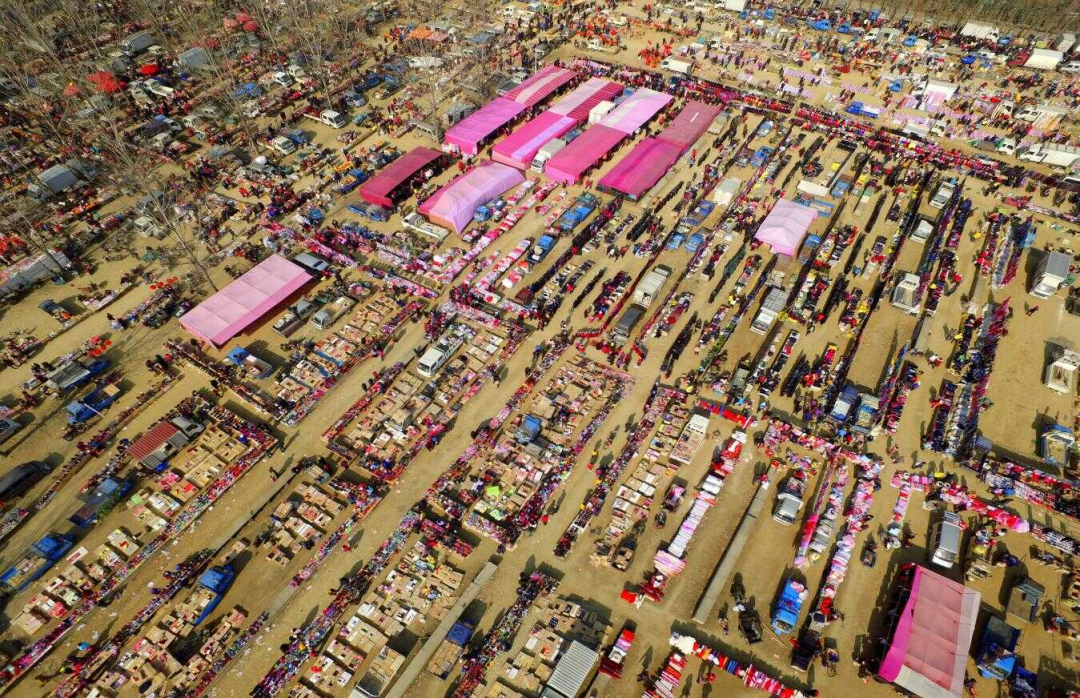 图片来源：青岛西海岸新区政务网