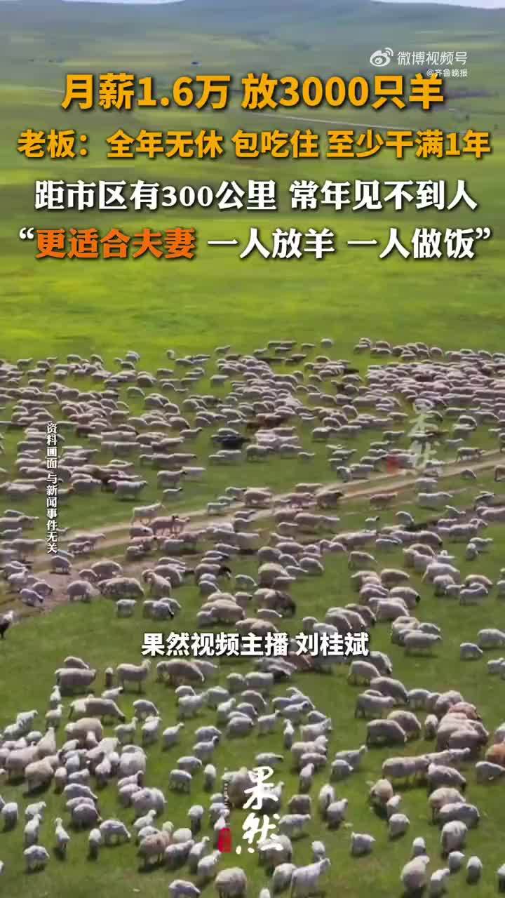 老板说月薪1.6万放羊至少干满1年