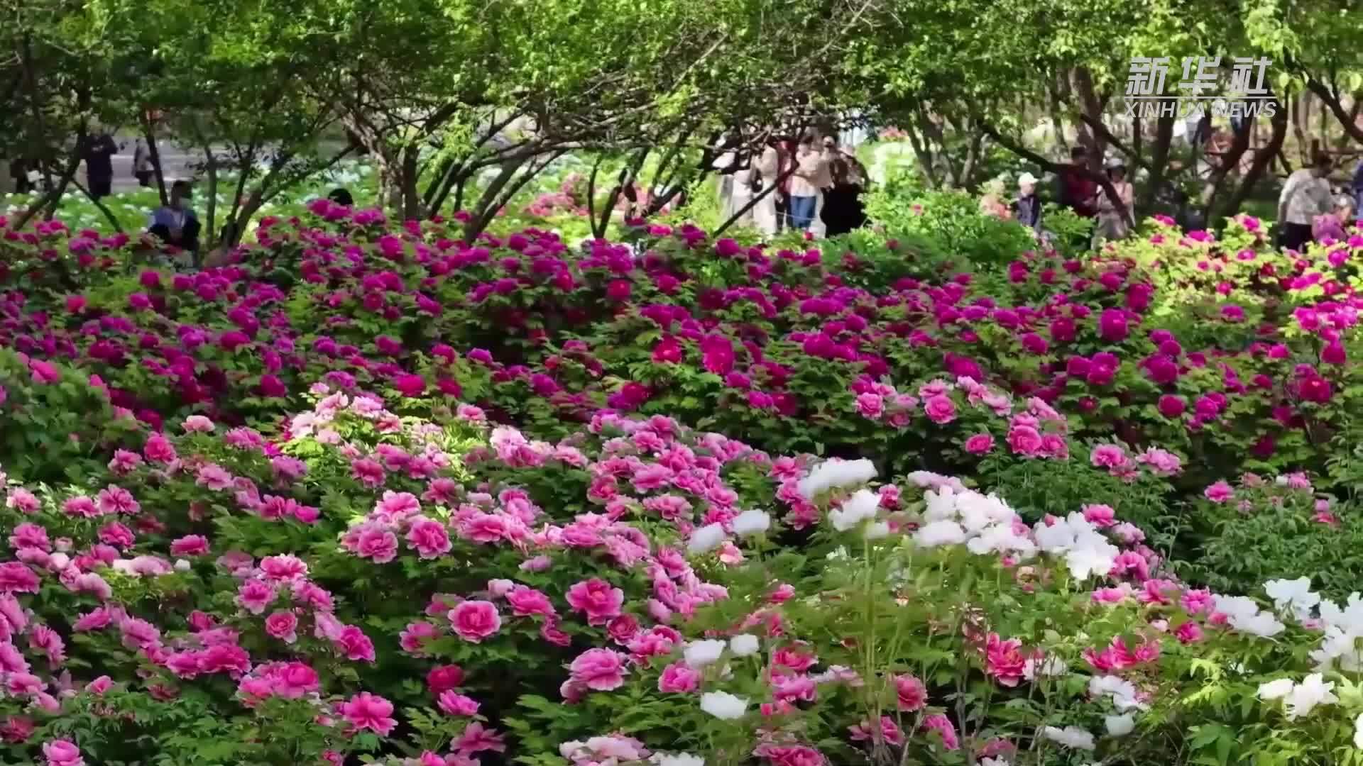 消费新图景｜从“买商品”到“享体验”，消费活力在“体验”中蓬勃生发