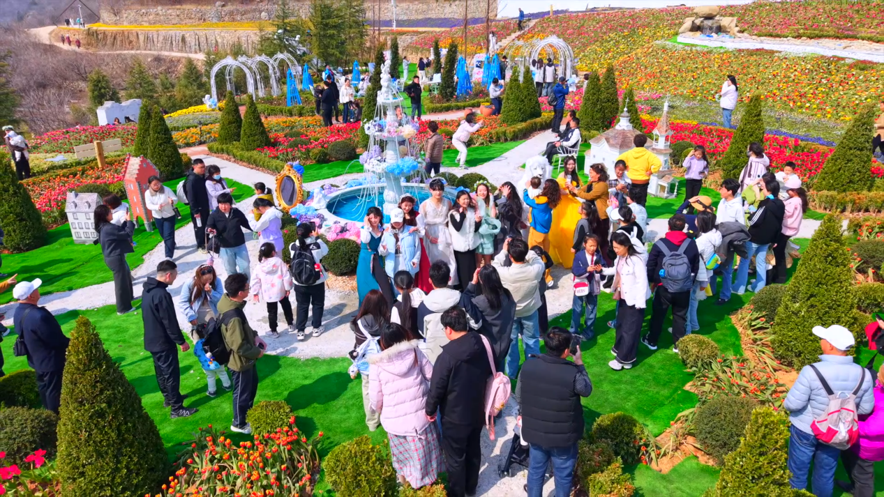 来自外地的研学团队在红叶柿岩云崖花园花海中穿行打卡。