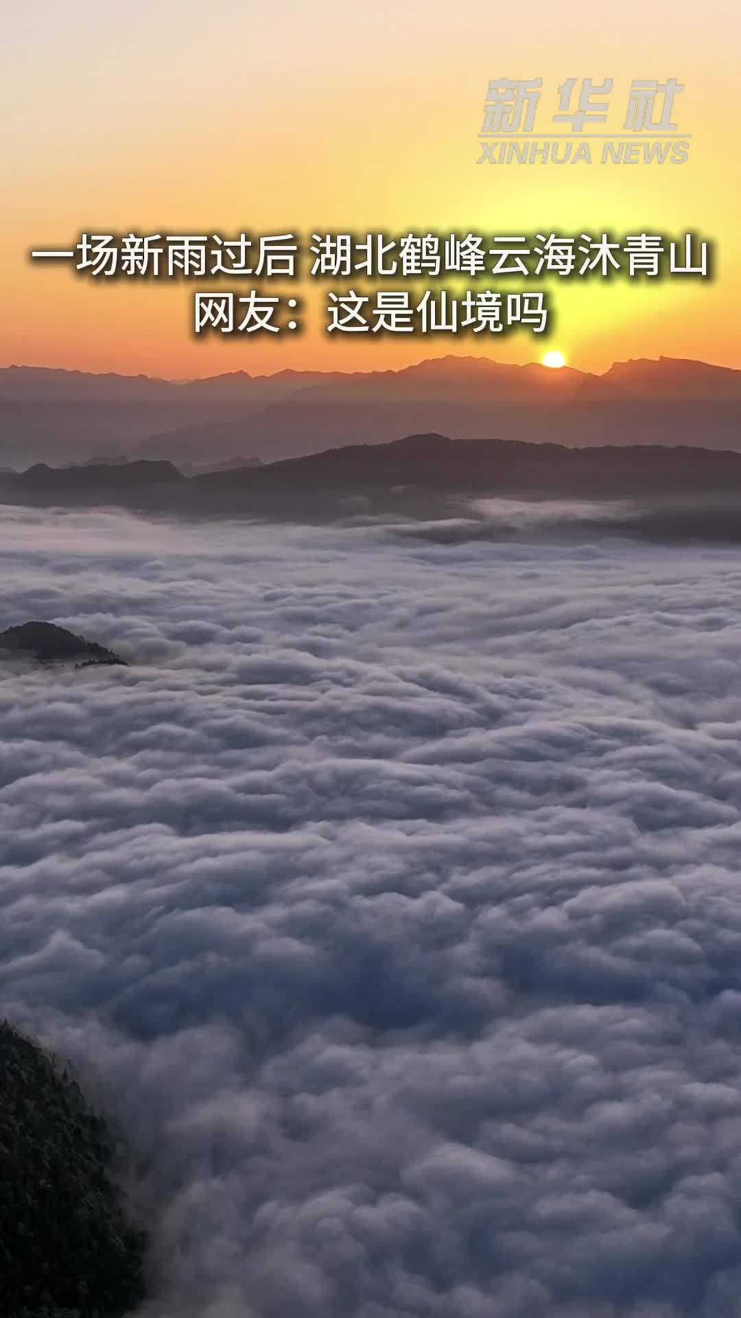 秀我中国｜一场新雨过后 湖北鹤峰云海沐青山