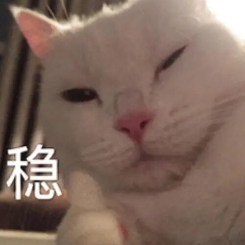 买电车均衡体验还是很重要的,余总说