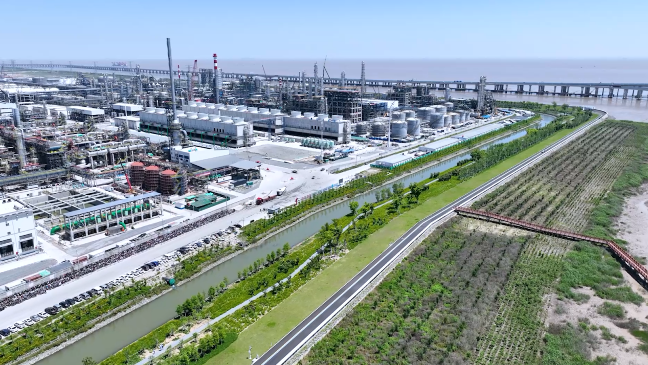 镇海炼化厂区紧邻东海滩涂湿地，绿色廊道清晰可见/苏航摄