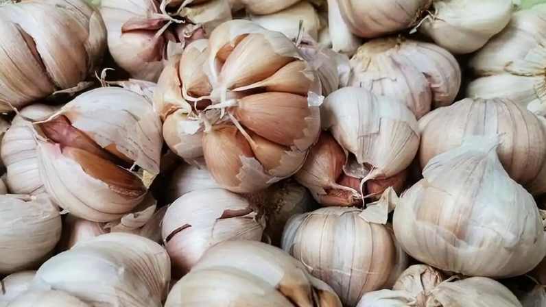 美国竟把中国大蒜列为“国家安全威胁”，谢寒冰：害怕自己的蒜农被打垮