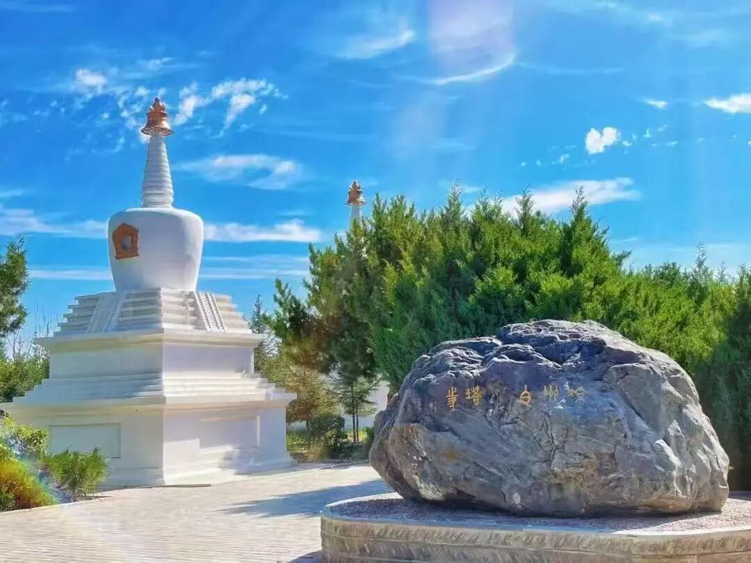 摄影：杨琪