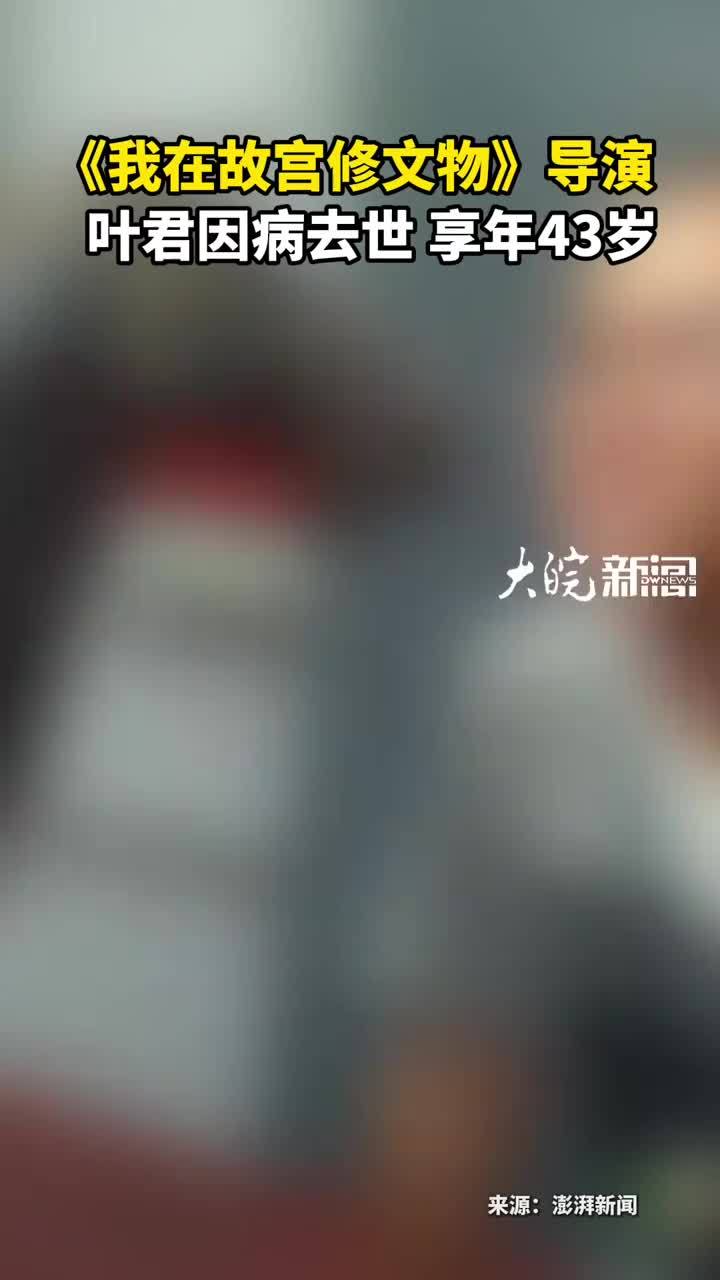 《我在故宫修文物》导演    叶君因病去世 享年43岁