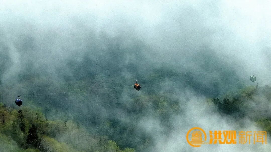 读书、赏花、听雨……看，这是最美的南昌四月天