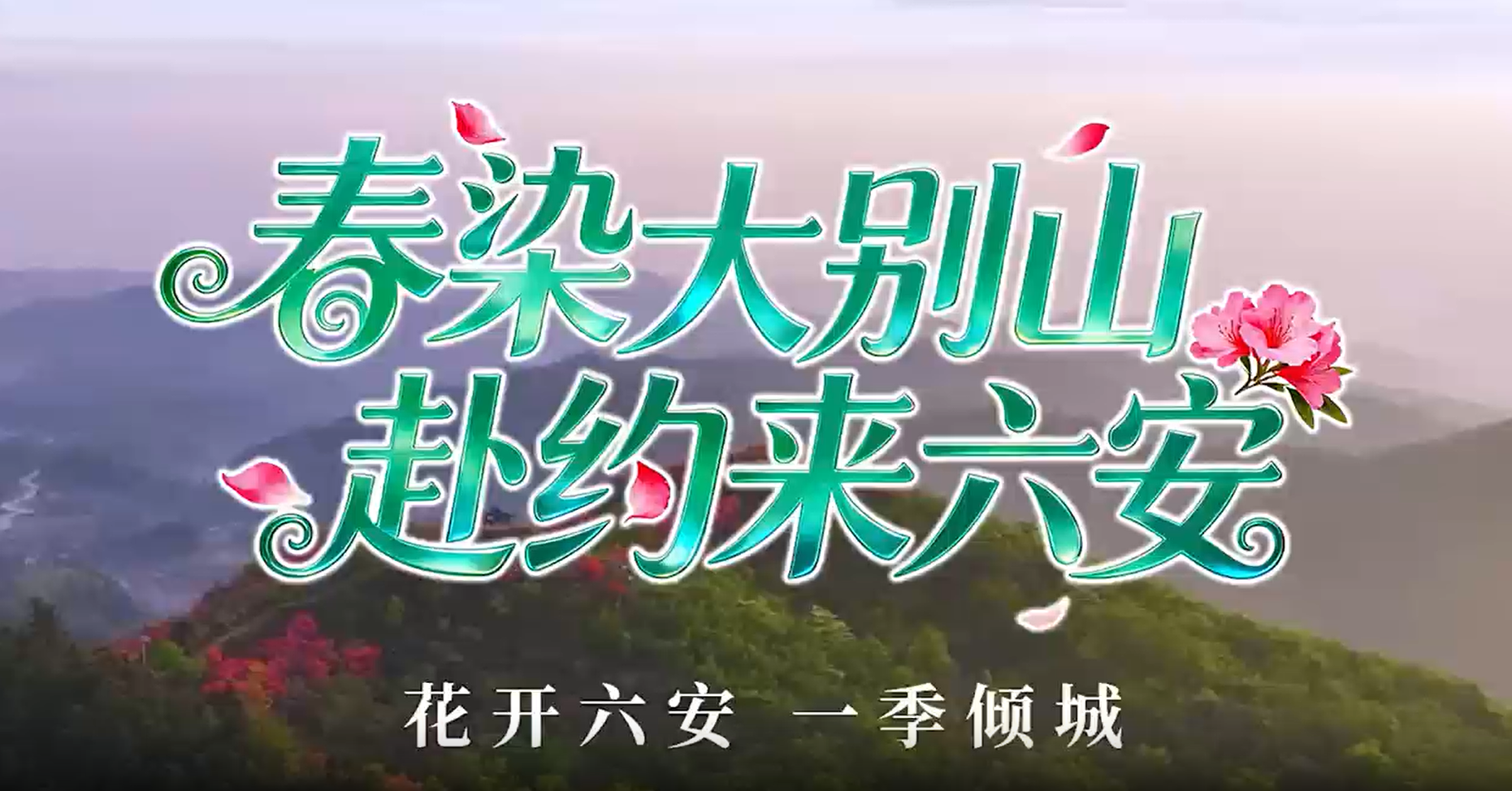 春染大别山 赴约来六安 | 花开六安 一季倾城