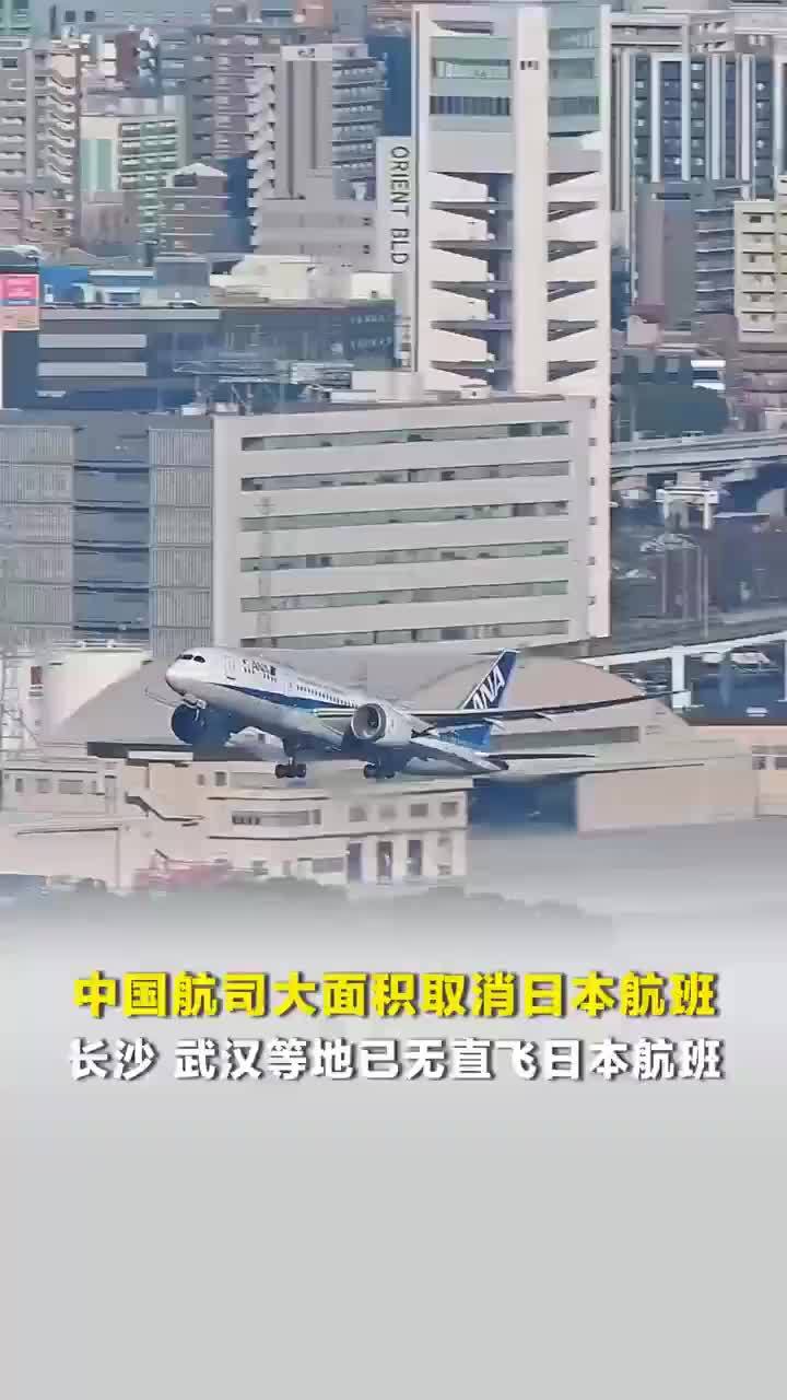 航司员工谈日本航班被大面积取消：从去年开始，国内前往日本各个城市的客流量就在减少