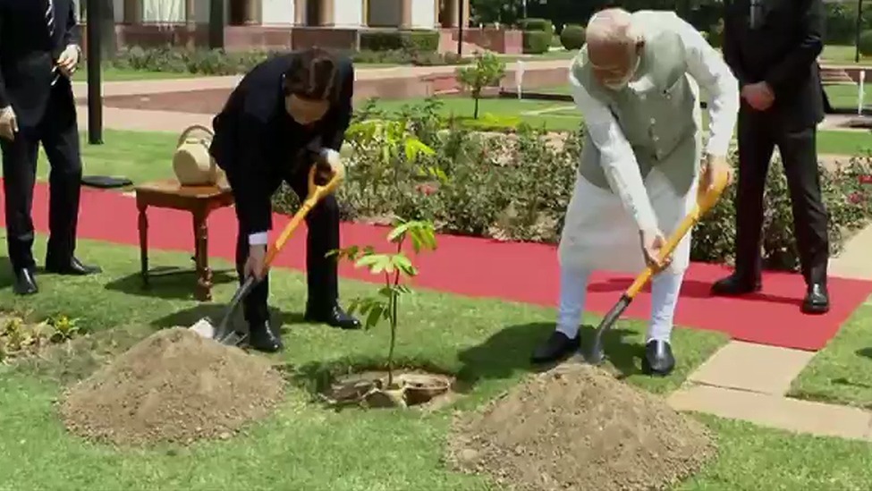 李在明首次访印，和莫迪一起种下友谊的小树苗