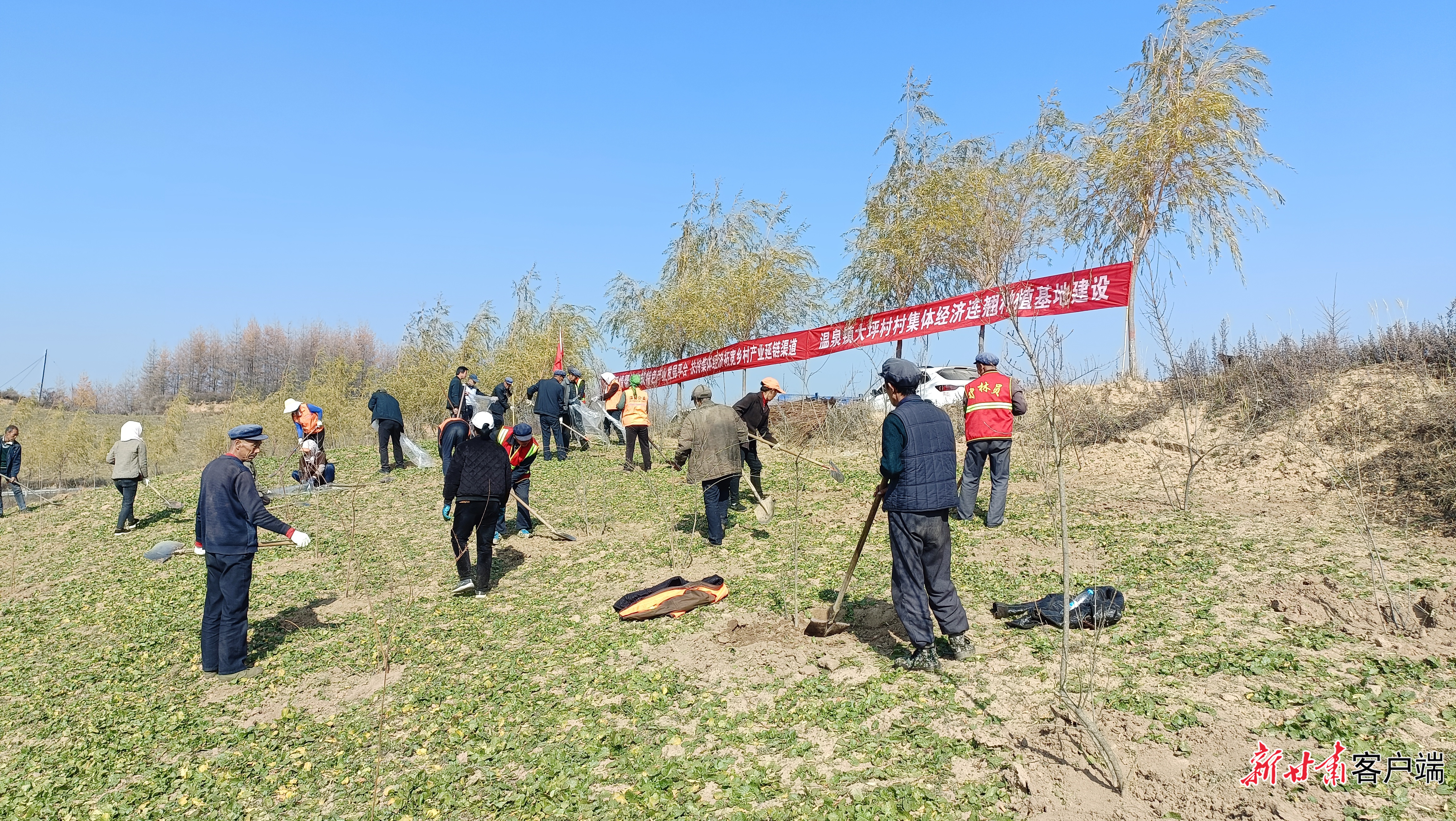 村民在山坡平整土地　图片由武山县委宣传部提供