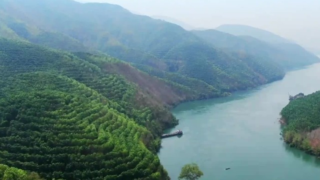 这里有“世界景观最美的茶山”，60%的拉祜族以种茶为生