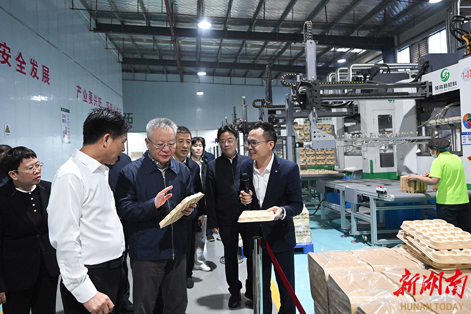 4月20日，沈晓明在湖南领高新材料竹产业项目现场调研。