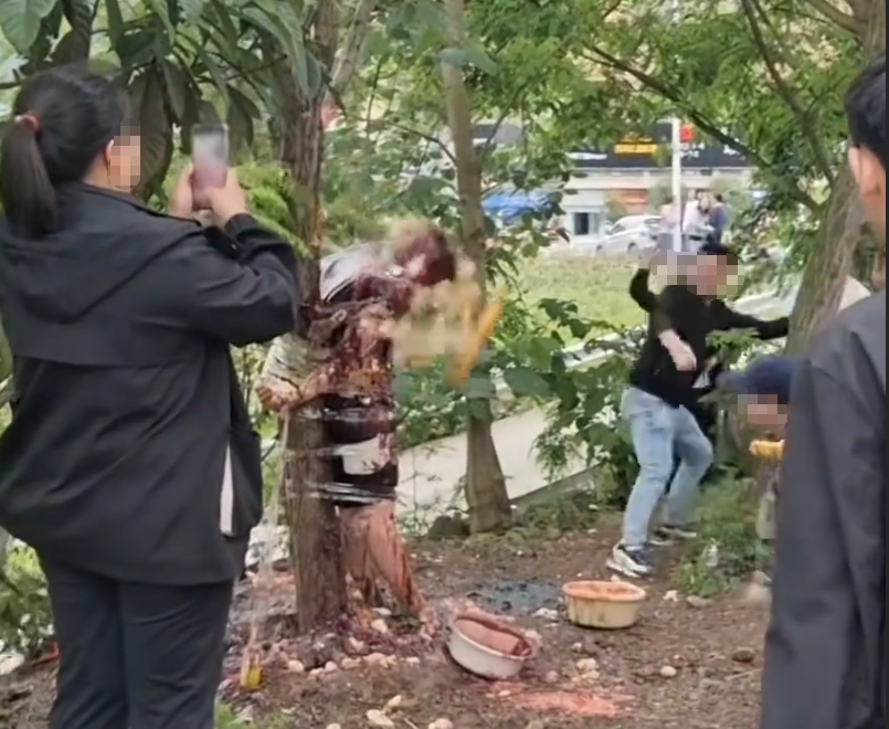 婚闹中男人被扒衣绑树上扔鸡蛋，民政局：没罪犯，仅仅庆祝形势不相通